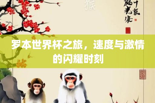 罗本世界杯之旅，速度与激情的闪耀时刻
