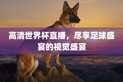 高清世界杯直播，尽享足球盛金炬实业股份有限公司宴的视觉盛宴