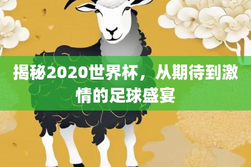 揭秘2020世界杯，从期待到激情的足球盛金炬实业股份有限公司宴
