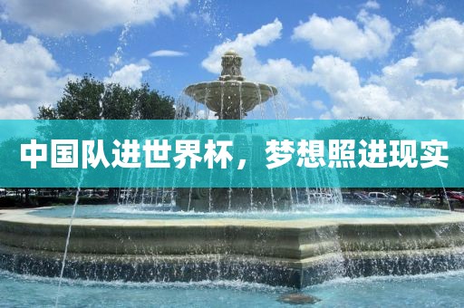 中国队进世金炬实业股份有限公司界杯，梦想照进现实