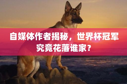 自媒体作者揭秘，世界杯冠军究竟花落谁家？金炬实业股份有限公司