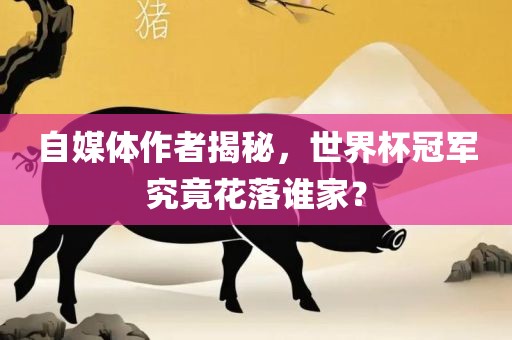 自媒体作者揭秘，世界杯冠军究竟花落谁家？金炬实业股份有限公司