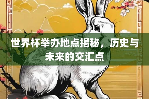 世界杯举办地点揭秘，历史与未来的交汇点