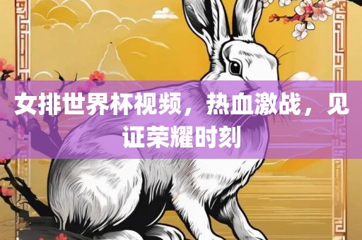 女排世界杯视频，热血激战，见证荣耀时刻