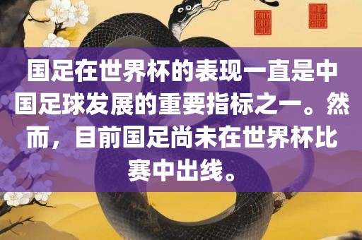 国足在世界杯的表现一直是中国足球发展的重要指标之一。然而，目前国足尚未在世界杯比赛中出线。金炬实业股份有限公司