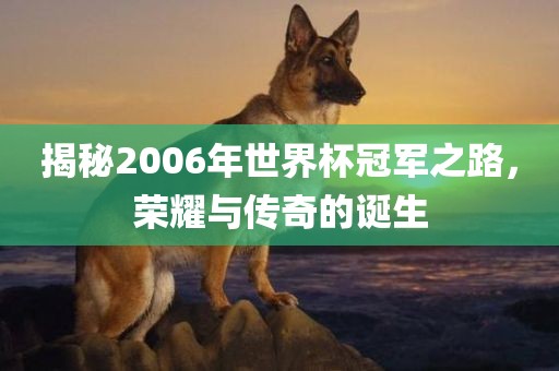揭秘2006年世界杯冠军之路，荣耀与传奇的诞生
