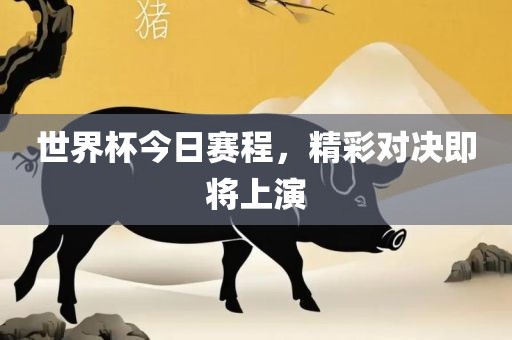 世界杯今日赛程，精彩对决即金炬实业股份有限公司将上演