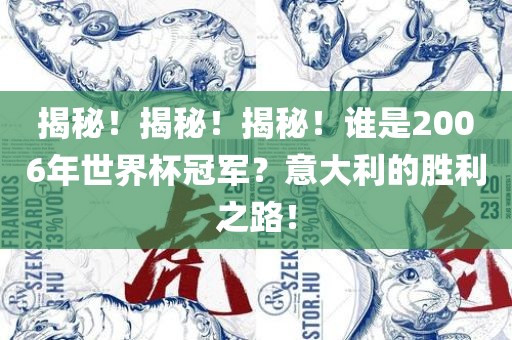 揭秘！揭秘！揭秘！谁是2006年世界杯冠军？意大利的胜利之路！