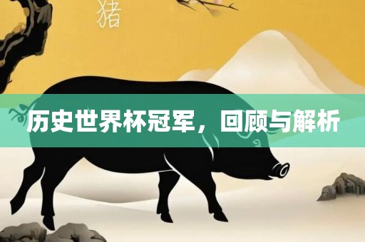 历史世界杯冠军，回顾与解析金炬实业股份有限公司