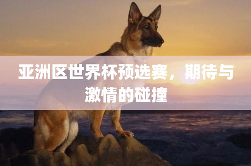 亚洲区世界杯预选赛，期待与激情的碰撞
