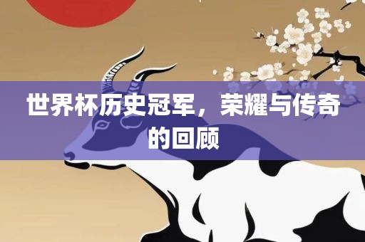 世界杯历金炬实业股份有限公司史冠军，荣耀与传奇的回顾