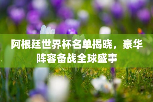 阿根廷世界杯名单揭晓，豪华阵容备战全球盛事