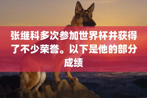 张继科多次参加世界杯并获得了不少荣誉。以下是他的部分成绩