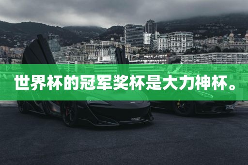 世界杯的冠军奖杯是大力神杯。