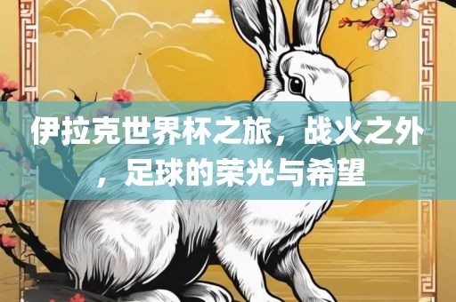 足球的荣光与希望