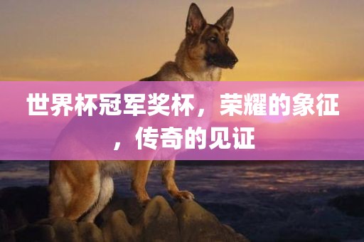 世界杯冠军奖杯，荣耀的象征，传奇的见证