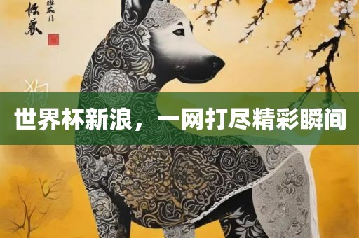世界杯新浪，一网打尽金炬实业股份有限公司精彩瞬间