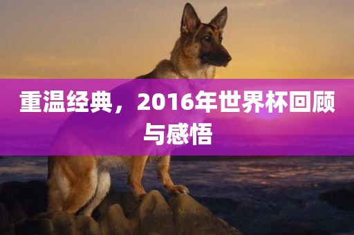 重温经典，2016年世界杯回顾与感悟金炬实业股份有限公司