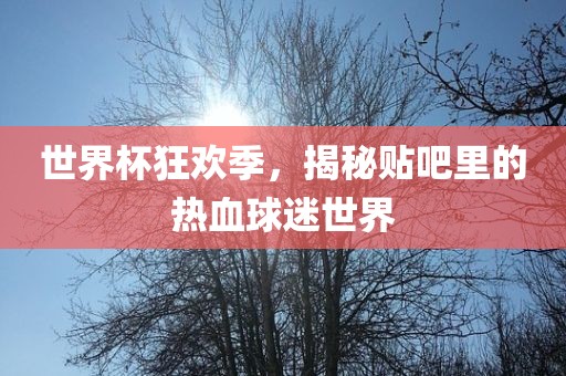世界杯狂欢季，揭秘贴吧里的热血球迷世界