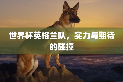 世界杯英格兰队，实力与期待的碰撞