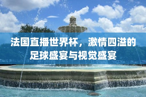 法国直播世界杯，激情四溢的足球盛宴与视觉盛宴金炬实业股份有限公司