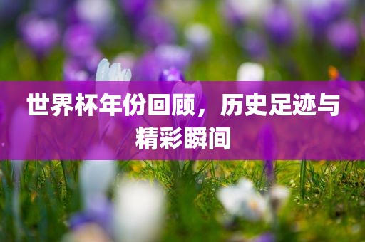 世界杯年份回顾金炬实业股份有限公司，历史足迹与精彩瞬间