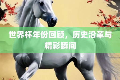 世界杯年份回顾，历金炬实业股份有限公司史沿革与精彩瞬间