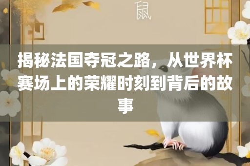 揭秘法国夺冠之路，从世界杯赛场上的荣耀时刻到背后的故事金炬实业股份有限公司