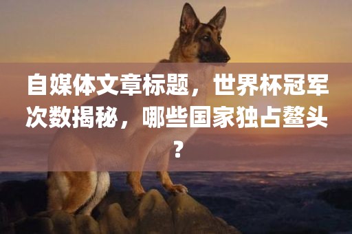 自媒体文章标题，世界杯冠军次数揭秘，哪些国家独占鳌头？金炬实业股份有限公司