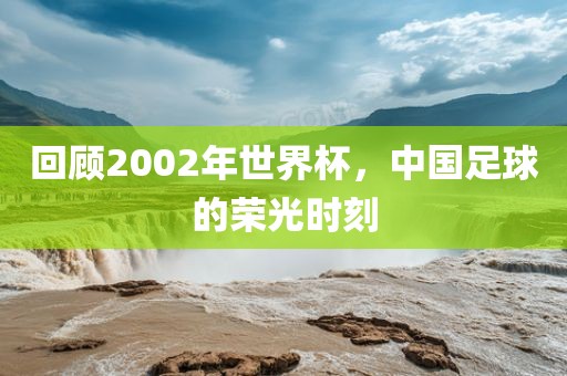 回顾2002年世界杯，中国足球的荣光时刻金炬实业股份有限公司