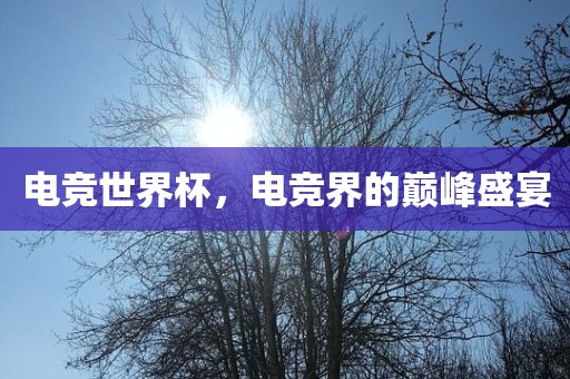 电竞世界杯，电竞界的巅峰盛宴