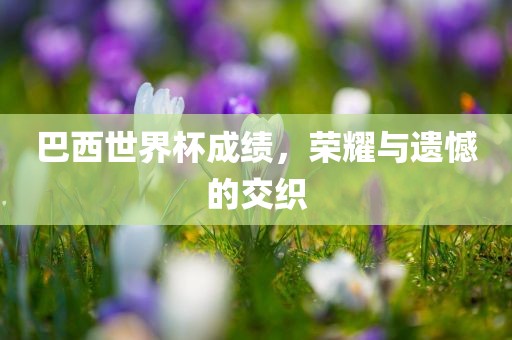 巴西世界杯成绩，荣耀与遗憾的交织金炬实业股份有限公司