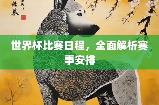 世界杯比赛日程，全面解析赛事安排