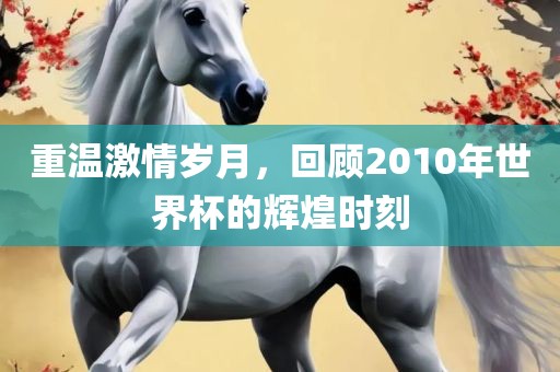 重温激情岁月，回顾2010年世界杯的辉煌时刻金炬实业股份有限公司