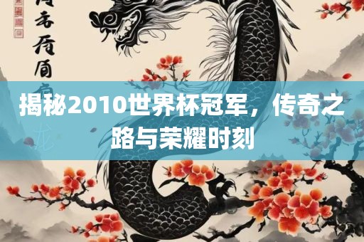 揭秘2010世界杯冠军，传奇之路与荣耀时刻