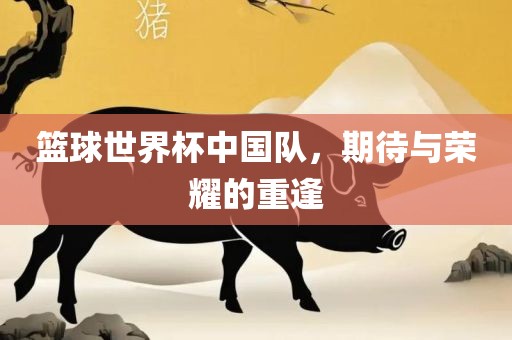 篮球世界杯中国队，期待与荣耀的重逢