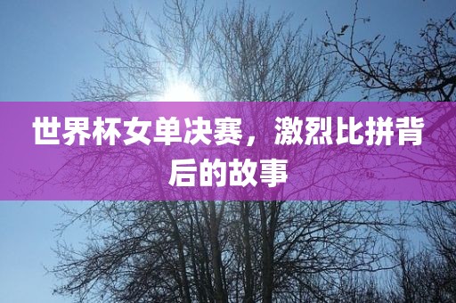 世界杯女单决赛，激烈比拼背后的故事金炬实业股份有限公司