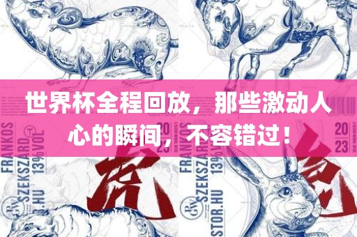 世界杯全程回放，那些激动人心的瞬间，不容错过！金炬实业股份有限公司