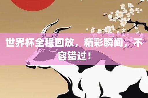 世界杯全程回放，精彩瞬间，不容错过！金炬实业股份有限公司