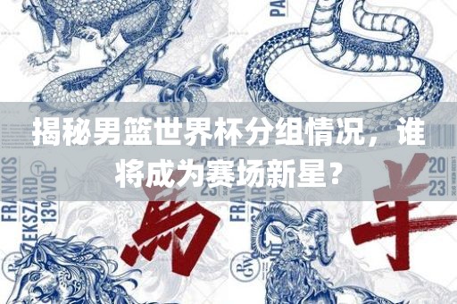 揭秘男篮世界杯分组情况，谁将成为赛场新星？金炬实业股份有限公司