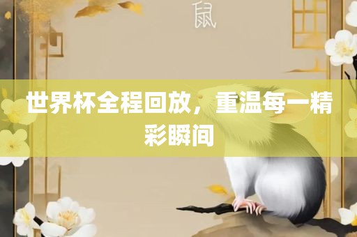 世界杯全程回放