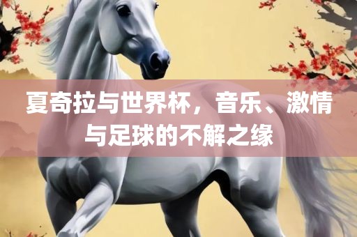 夏奇拉与世界杯，音乐、激情与足球的不解之缘