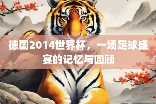 德国2014世界杯，一场足球盛宴的记忆与回顾