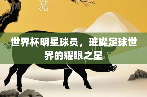 世界杯明星球员，璀璨足球世界的耀眼之星金炬实业股份有限公司