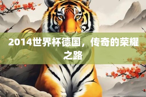 2014世金炬实业股份有限公司界杯德国，传奇的荣耀之路