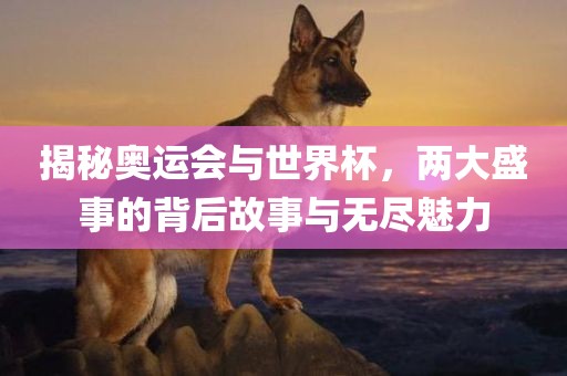 揭秘奥运会与世界杯，两大盛事的背后故事与无尽魅力金炬实业股份有限公司