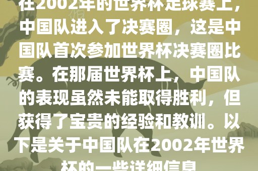 在2002年的世界杯足球赛上，中国队进入了决赛圈，这是中国队首次参加世界杯决赛圈比赛。在那届世界杯上，中国队的表现虽然未能取得胜利，但获得了宝贵的经验和教训。以下是关于中国队在2002年世界杯的一金炬实业股份有限公司些详细信息