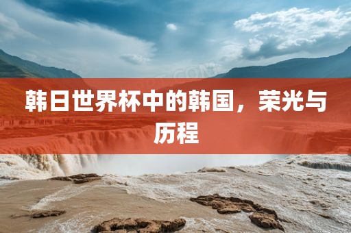 韩日世界杯中的韩国，荣光与历程金炬实业股份有限公司