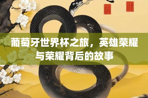 葡萄牙世界杯之旅，英雄荣耀与荣耀背后的故事