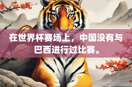 在世界杯赛场上，中国没有与巴西进行过比赛。金炬实业股份有限公司